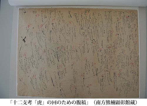 立ち読み：南方熊楠生誕150周年（2017年）『南方熊楠――複眼の